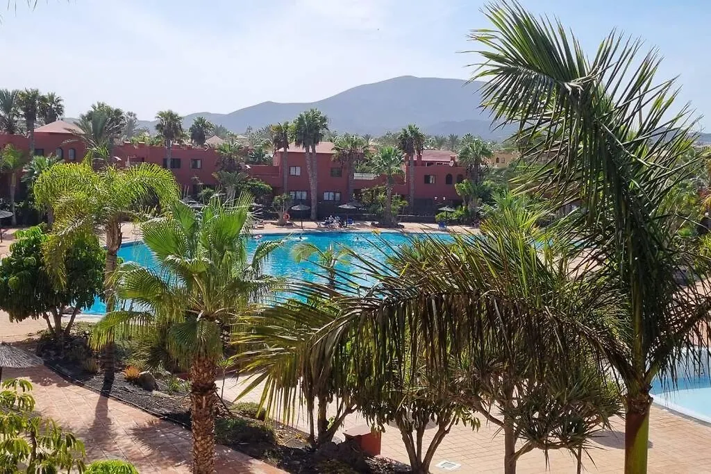 Appartamento Frangipani Con Terrazza E Piscina Corralejo 0*,