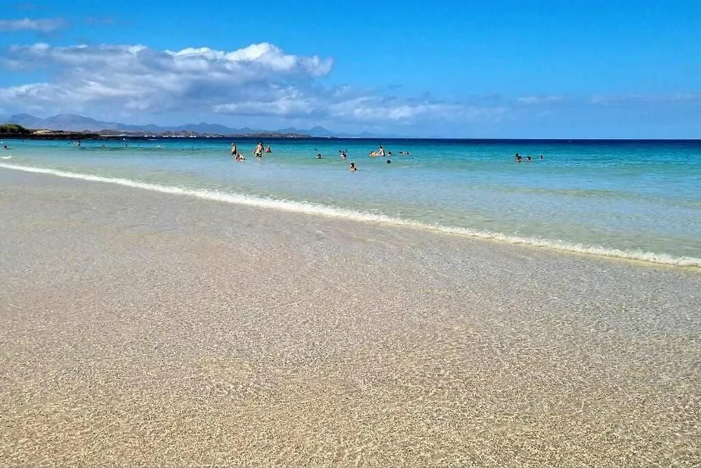 Apartment Appartamento Frangipani Con Terrazza E Piscina Corralejo Spain